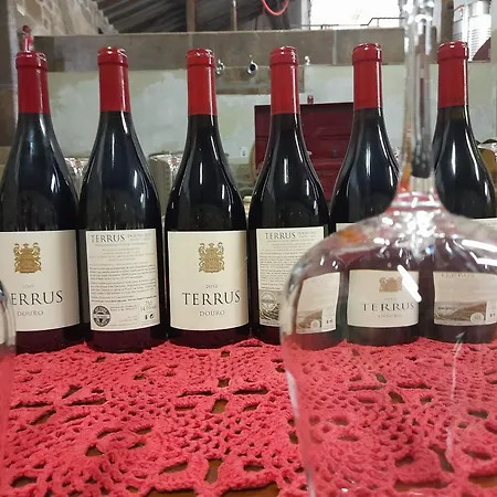 Tatil Evi Lemon Tree At Terrus Winery Barro (Vila Real)