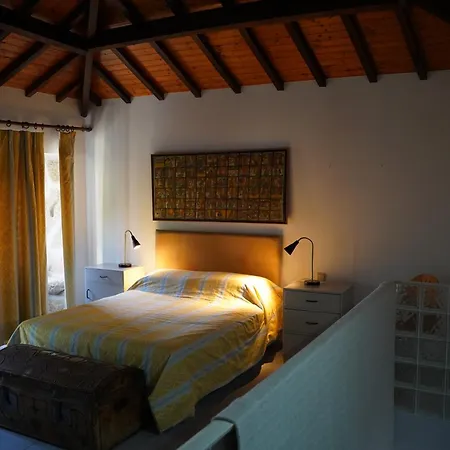 Lemon Tree At Terrus Winery * Barro (Vila Real)