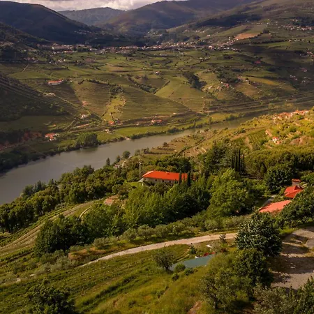 Casa vacanze Lemon Tree At Terrus Winery *