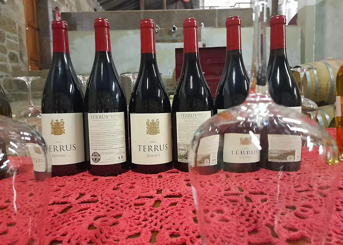 Feriehus Lemon Tree At Terrus Winery Barro (Vila Real)