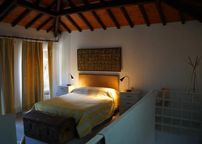 Lemon Tree At Terrus Winery * Barro (Vila Real)