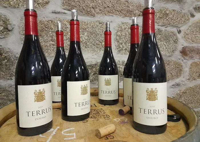 Lemon Tree At Terrus Winery